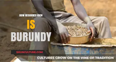 Unlocking Burundi's Hidden Wealth: A Deep Dive into Its Resource Riches