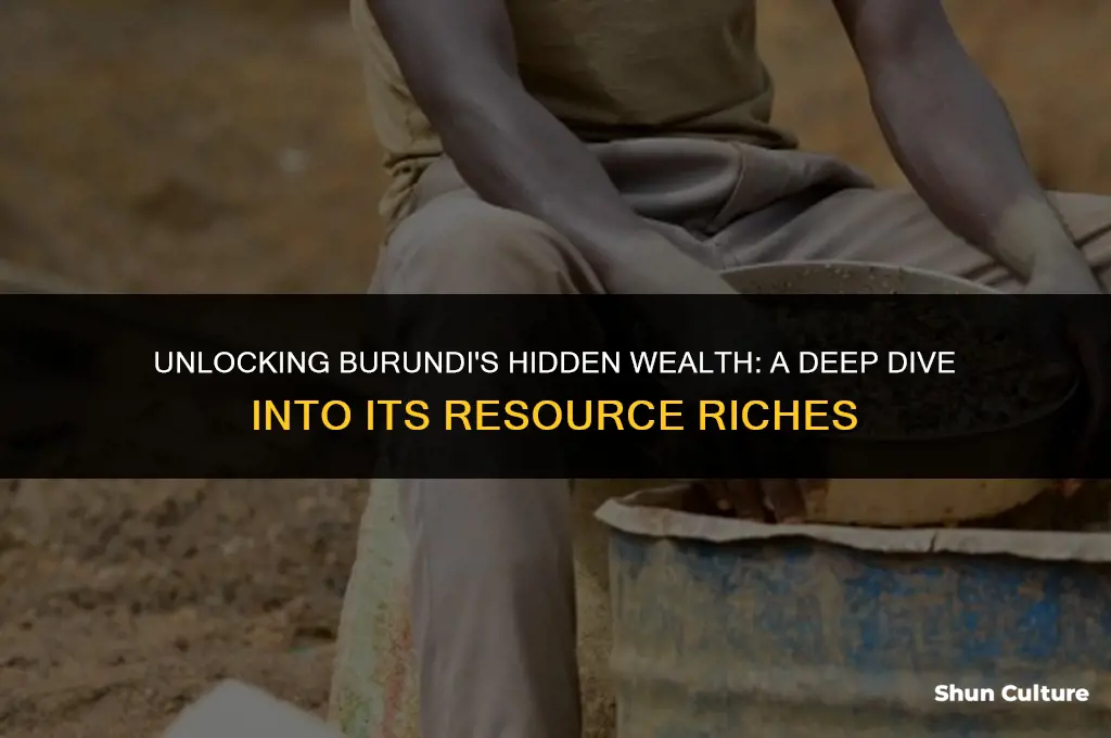 how resource-rich is burundy