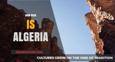 Exploring Algeria's Wealth: A Deep Dive into Its Economic Prosperity