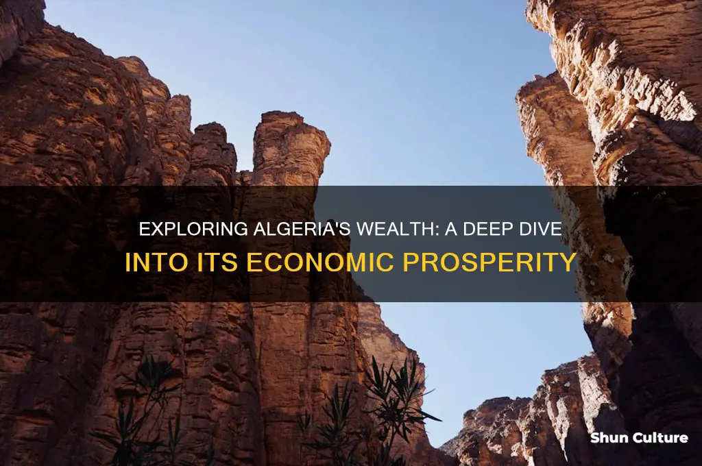 how rich is algeria