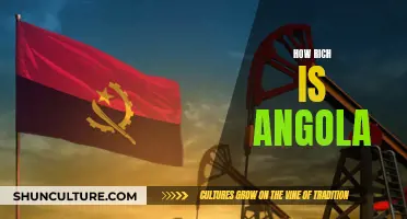 Angola's Wealth: A Rich Country's Story