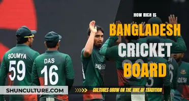 Bangladesh Cricket Board's Wealth: Unveiling the Financial Powerhouse