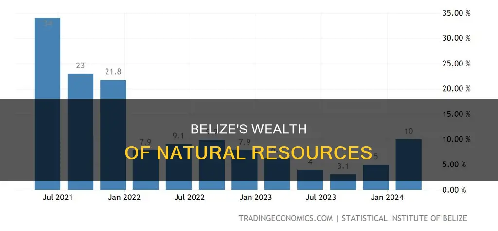 how rich is belize