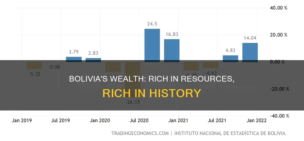 how rich is bolivia