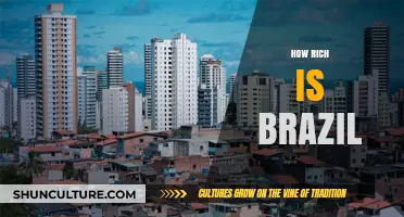 Brazil's Wealth Unveiled: Exploring the Nation's Economic Power and Potential