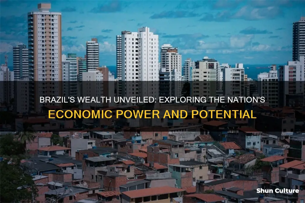 how rich is brazil
