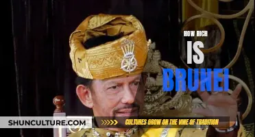 Wealthy Brunei: A Rich Country's Guide