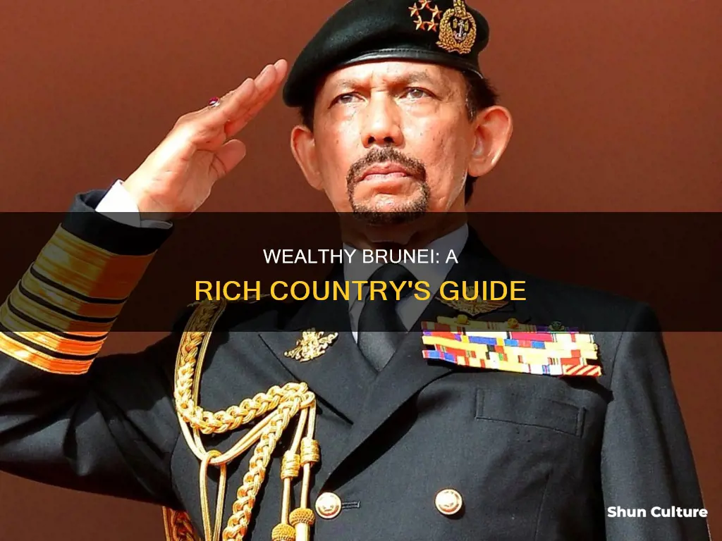 how rich is brunei