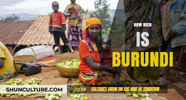 Exploring Burundi's Economic Landscape: A Journey Through Wealth and Challenges