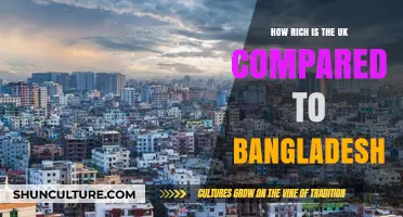 Comparing UK and Bangladesh: Wealth Disparity and Economic Insights