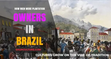 Brazil's Plantation Elite: Unveiling the Wealth of Colonial Landowners