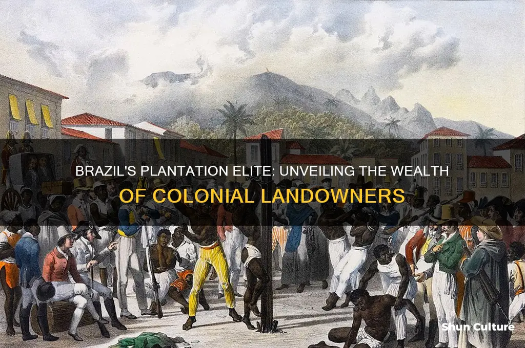 how rich were plantation owners in brazil