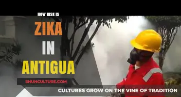 Understanding Zika Risk in Antigua: What Travelers Need to Know