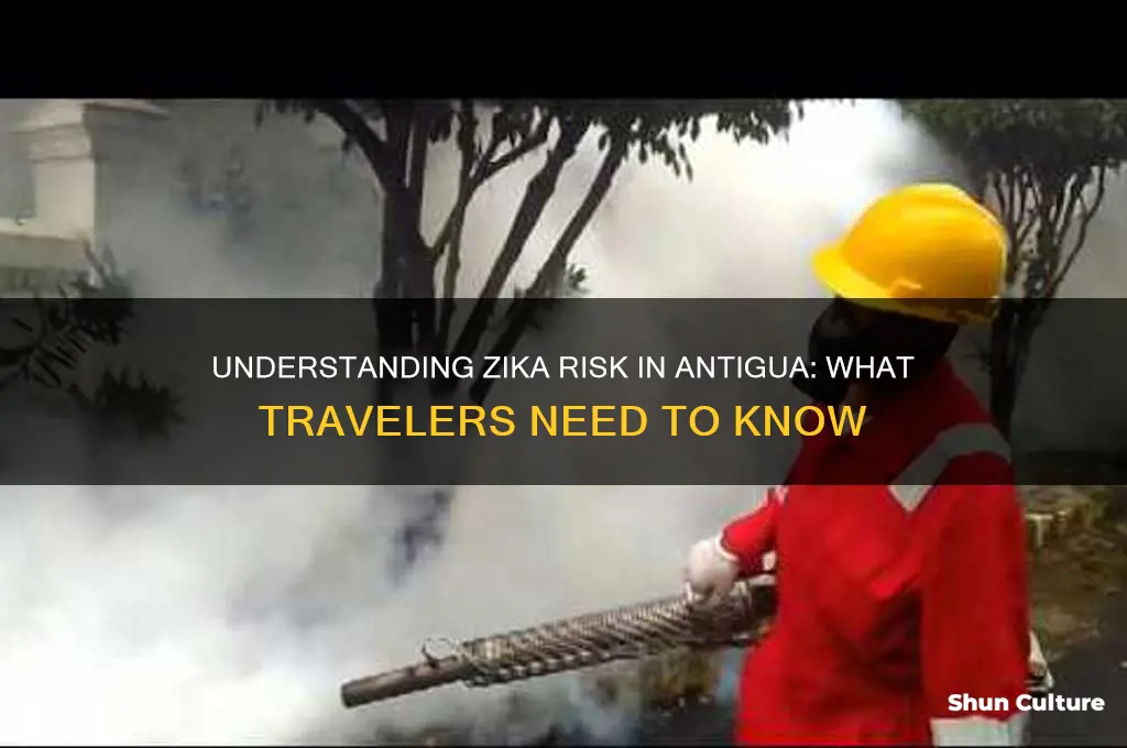 how risk is zika in antigua