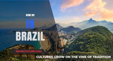 Exploring Brazil's Unique Culture, Language, and Daily Life: How Ru Fits In