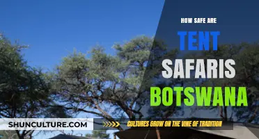 Exploring Botswana's Tent Safaris: Safety Tips and Precautions