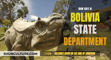 Bolivia's Safety: State Department's Travel Advisory Explained