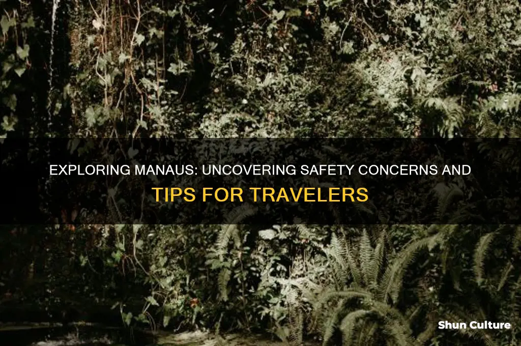 how safe is manaus brazil