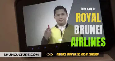 Safety First: Royal Brunei Airlines' In-Depth Security Measures