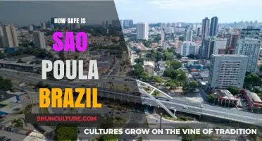 Exploring Safety in São Paulo, Brazil: Risks, Precautions, and Tips
