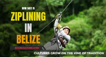 Ziplining in Belize: Safe Adventure or Risky Business?