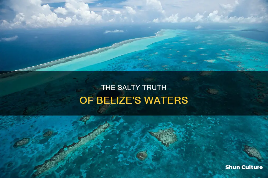 how salty is the water around belize