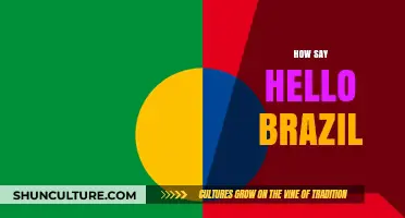 Mastering Brazilian Greetings: How to Say Hello Like a Local