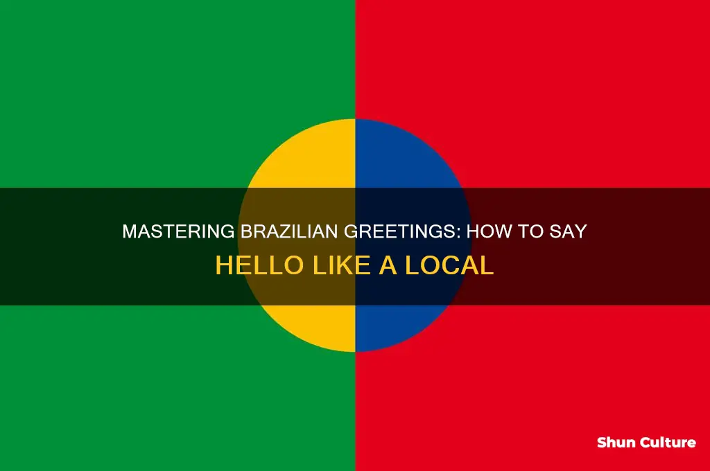 how say hello brazil