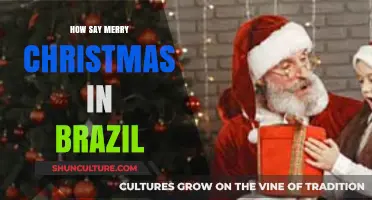 Feliz Natal! How to Say Merry Christmas in Brazil