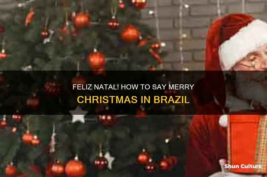 how say merry christmas in brazil