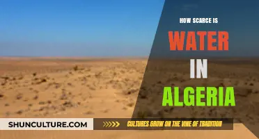Algeria's Water Crisis: Understanding the Growing Scarcity and Challenges