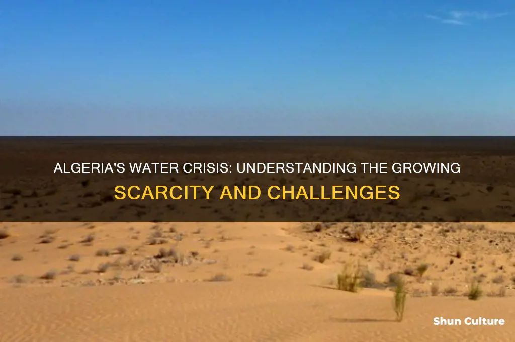 how scarce is water in algeria