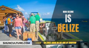 Belize's Security Secrets: Unveiling the Nation's Safe Haven Strategies