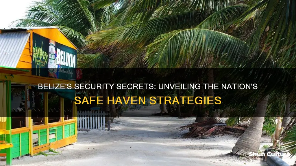 how secure is belize