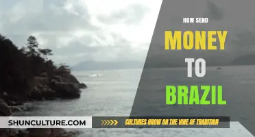 Efficient Ways to Send Money to Brazil: Tips and Best Practices