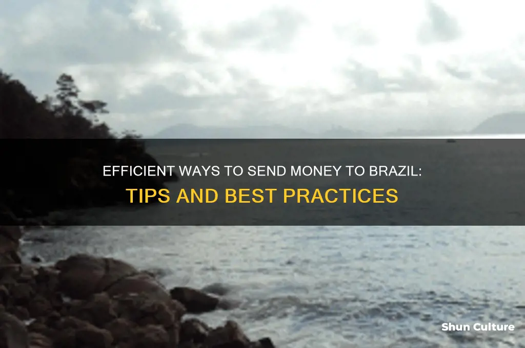 how send money to brazil