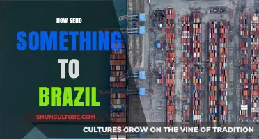 Shipping to Brazil: A Comprehensive Guide for Hassle-Free Delivery