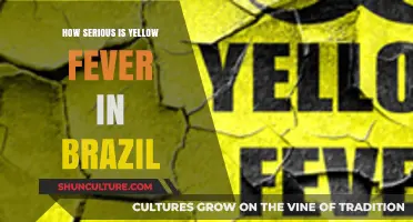 Yellow Fever in Brazil: Risks, Outbreaks, and Prevention Strategies