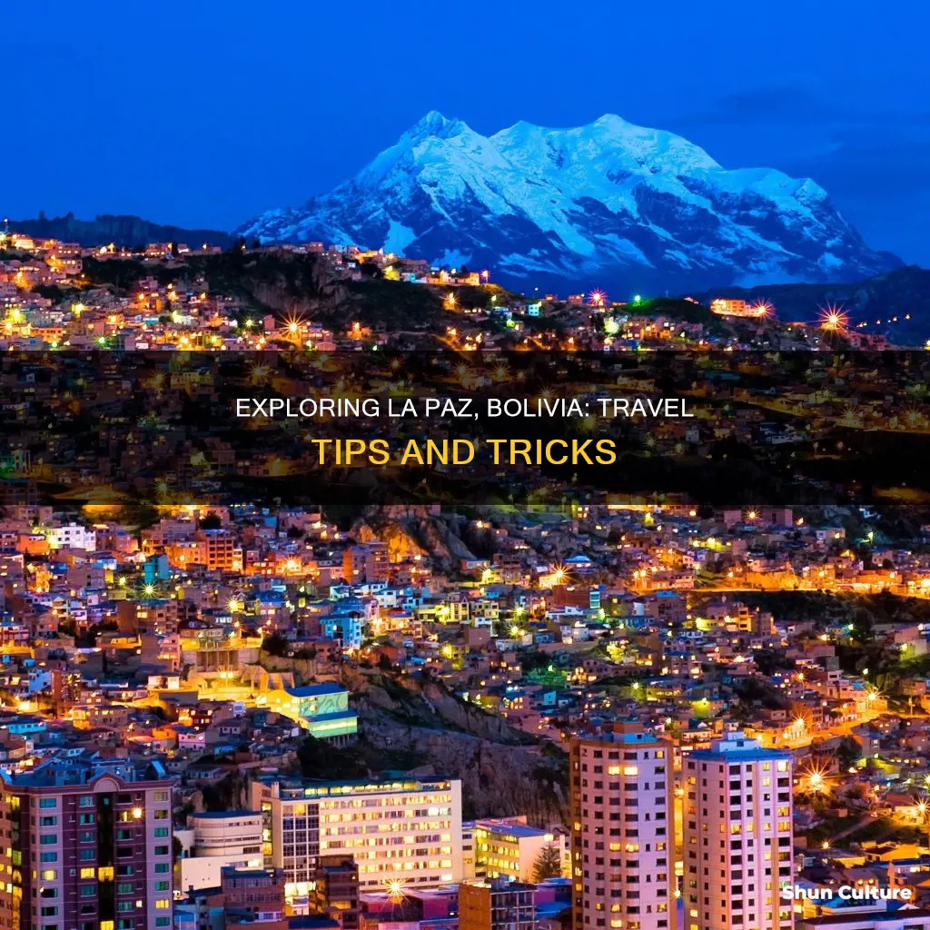 how should someone travel to la paz bolivia