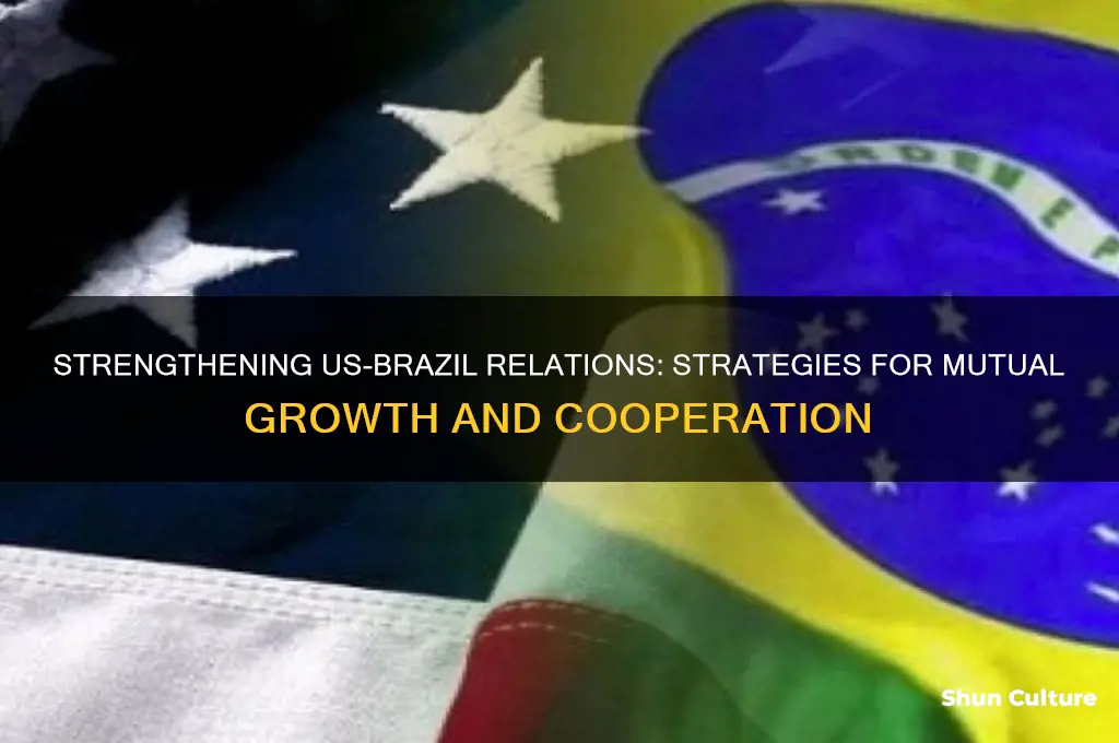 how should the us deal with brazil
