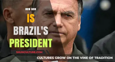 Brazil's President's Health Crisis: How Sick Is Jair Bolsonaro?
