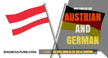 Exploring the Cultural and Linguistic Parallels: Austrian vs. German