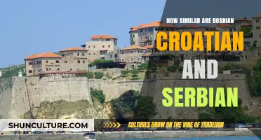 Bosnian, Croatian, Serbian: Unraveling the Similarities of Mutual Intelligibility