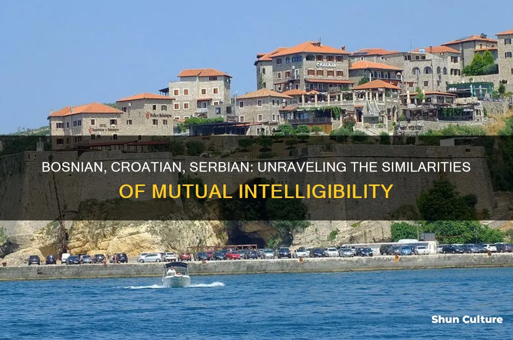 how similar are bosnian croatian and serbian