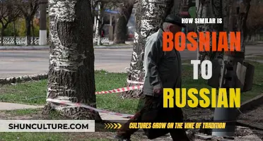 Bosnian vs. Russian: Exploring Linguistic Similarities and Key Differences