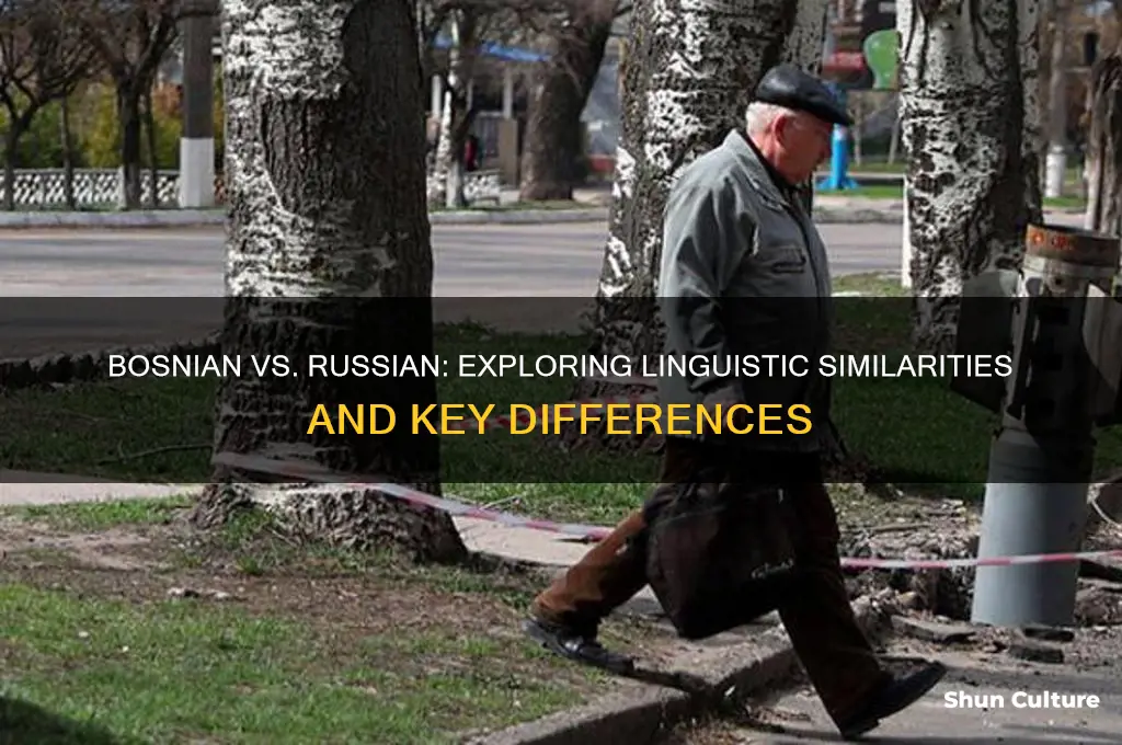 how similar is bosnian to russian