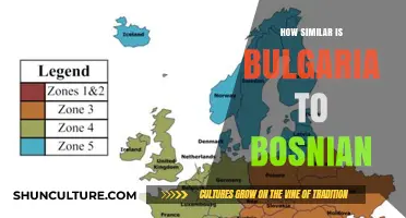 Bulgaria vs. Bosnia: Exploring Cultural, Historical, and Geographic Similarities