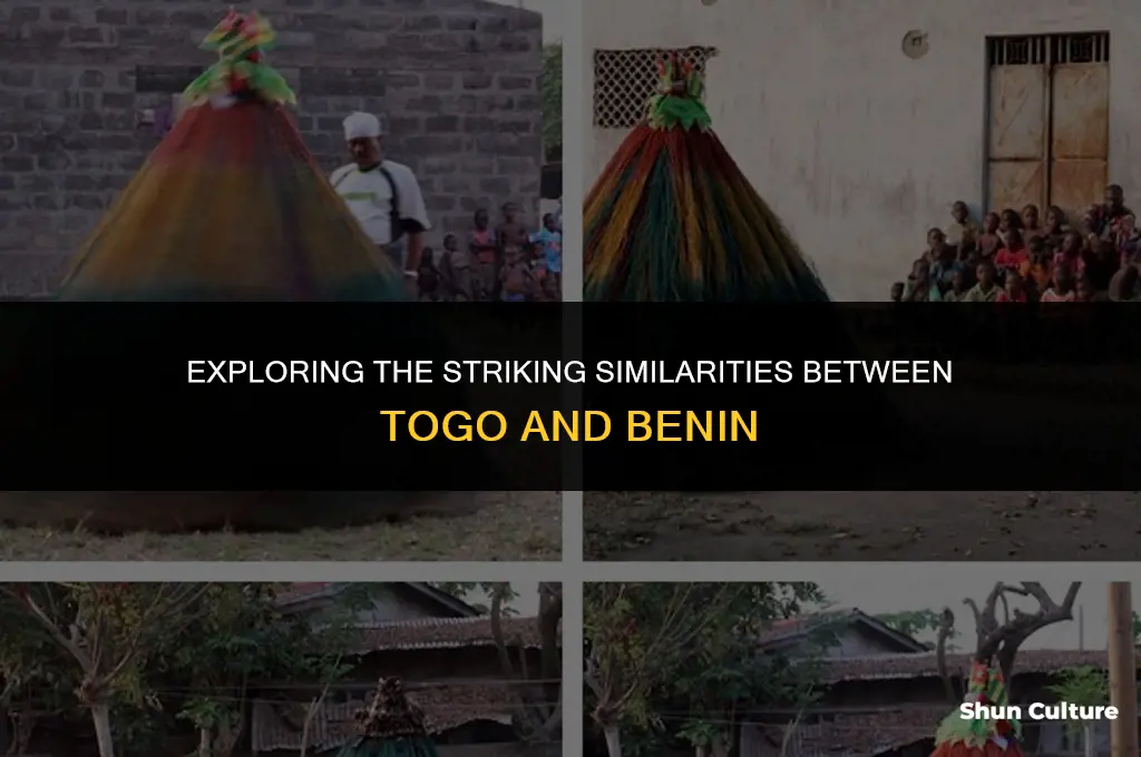 how simliar are togo and benin