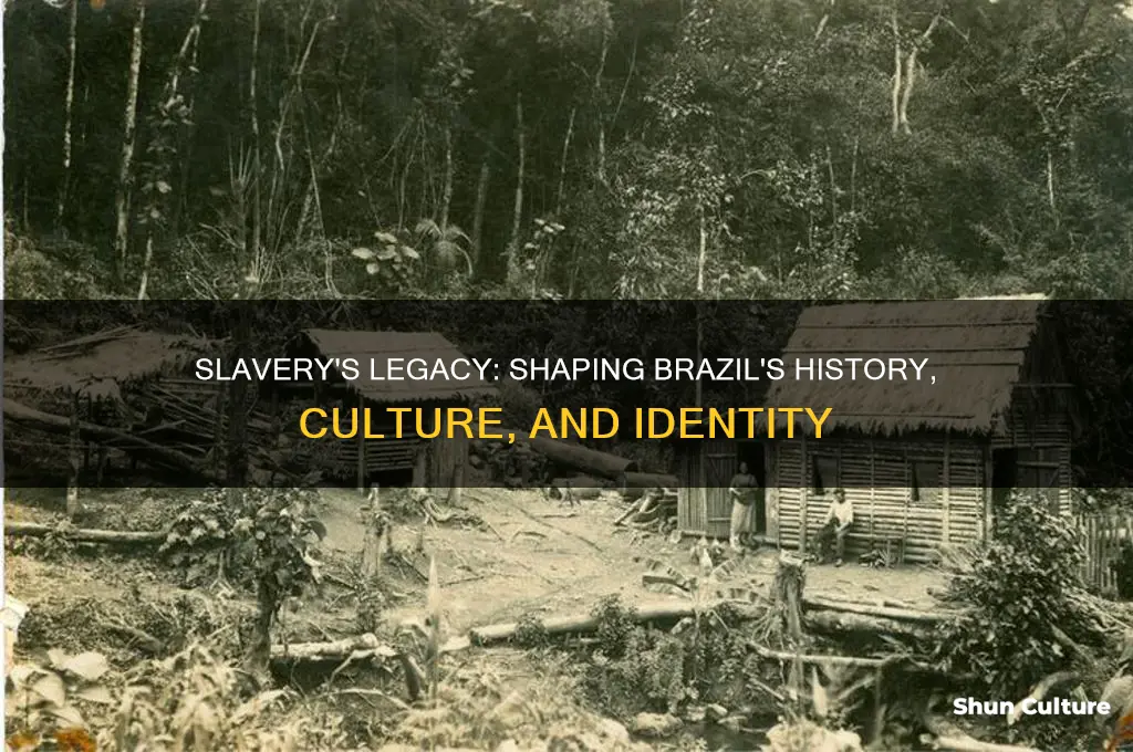 how slavery affected the history of brazil