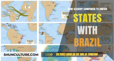 Slavery's Legacy: Comparing the United States and Brazil's Historical Struggles